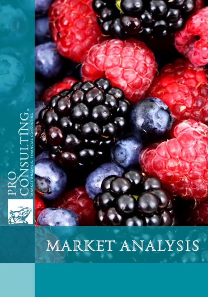 Market analysis of dried berries, fruits and vegetables with the release of raspberries, blueberries, currants, plums, peaches, apples, carrots and onions. 2018